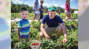 Lowcountry Strawberry Festival Returns To Boone Hall: A Berry Good Time
