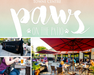 Paws On The Patio @ Mount Pleasant Towne Centre