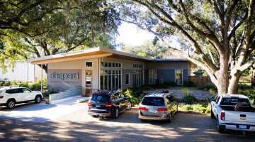 Music for the Trees at Sheperd Integrative Dermatology