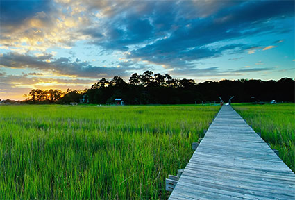 mount-pleasant-marsh