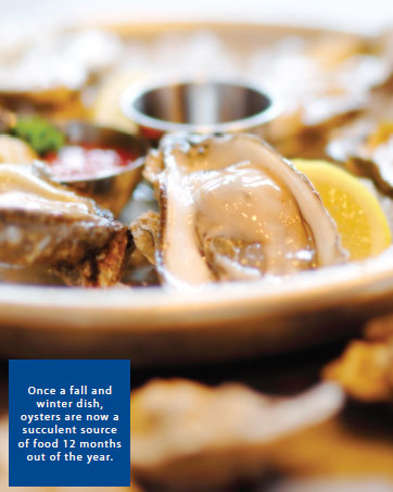 Once a fall and winter dish, oysters are now a succulent source of food 12 months out of the year.