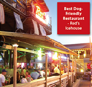 Best dog-friendly restaurant: Red's Icehouse