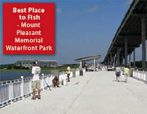 Best Place to Fish: Mount Pleasant Memorial Waterfront Park