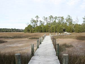 Mount Pleasant Palmetto Islands County Park. 2020 Best of Mount Pleasant.