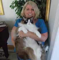 Ann Pape, 5th grade teacher Mt Pleasant SC with pet ragdoll cat - teachers in Mt Pleasant