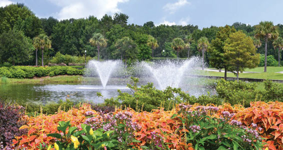 Daniel Island is alive with shopping and dining opportunities, but it ’s also a place to just relax and enjoy its natural beauty.