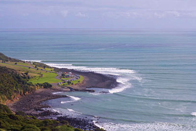 The New Zealand Coast