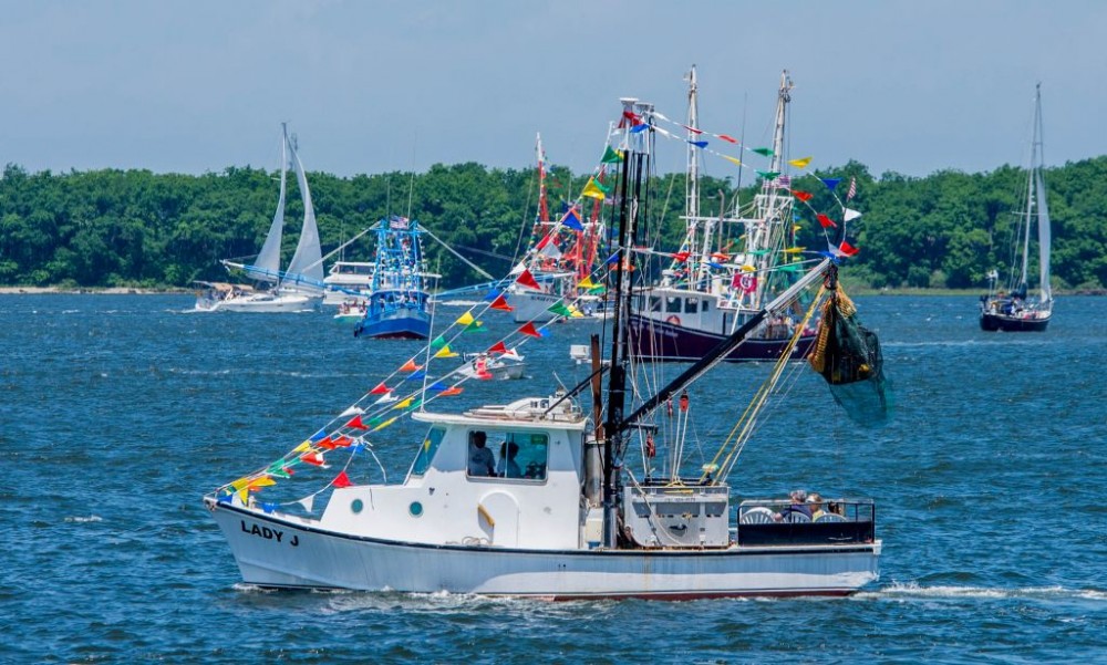 Shrimp Boats