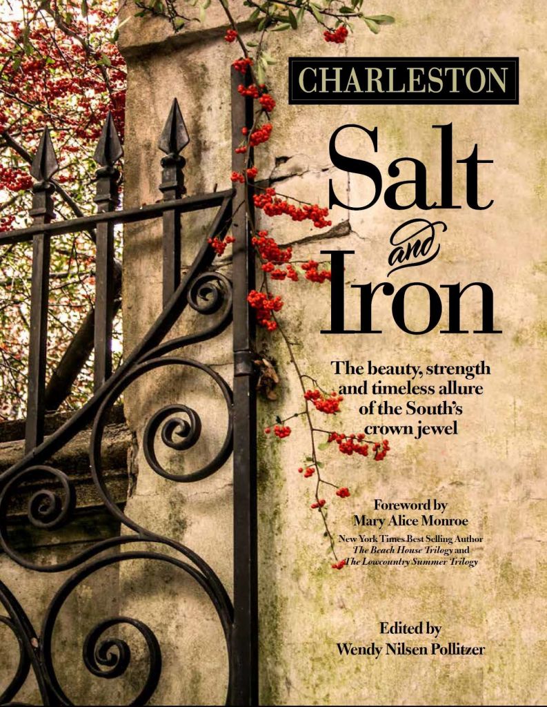 Charleston Salt and Iron book cover