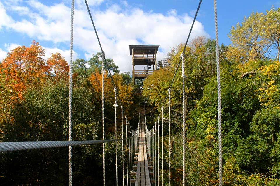 Zip Line Bridge