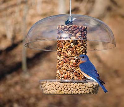 Bird feeder from Wild Birds Unlimited