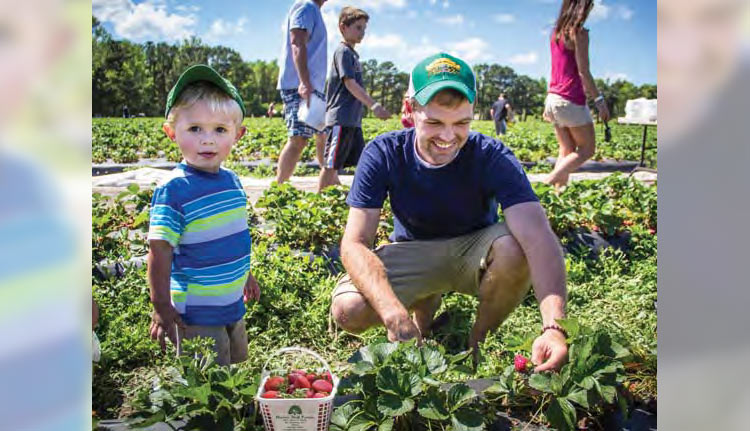 2017 Lowcountry Strawberry Festival at Boone Hall Plantation