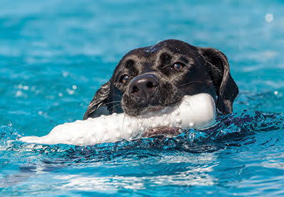 Hope Rose swimming