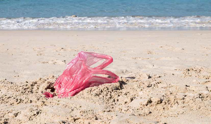 A plastic bag litters the beach