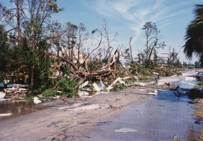 Hurricane Hugo left destruction in its wake in East Cooper and all along the South Carolina coast.