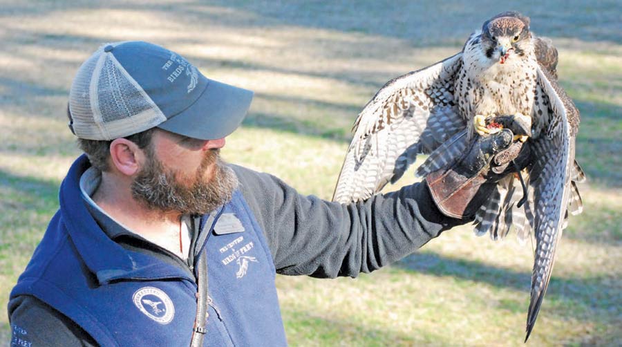 Stephen Schabel is the director of education and husbandry at The Center for Birds of Prey.