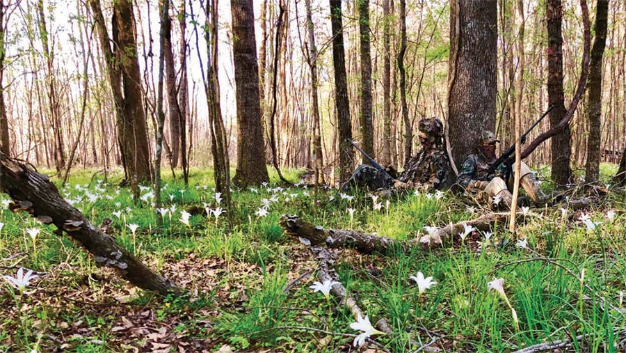 Hunting the wild turkey takes planning and perseverance