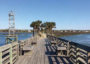 Pitt Street Bridge in Mt Pleasant