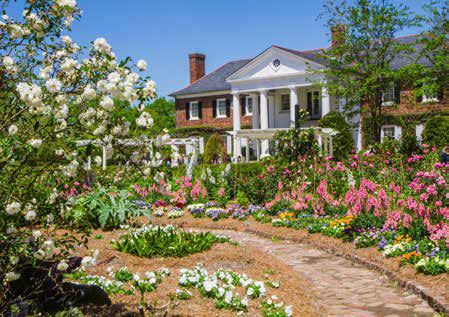 Spring garden in full bloom at Boone Hall.