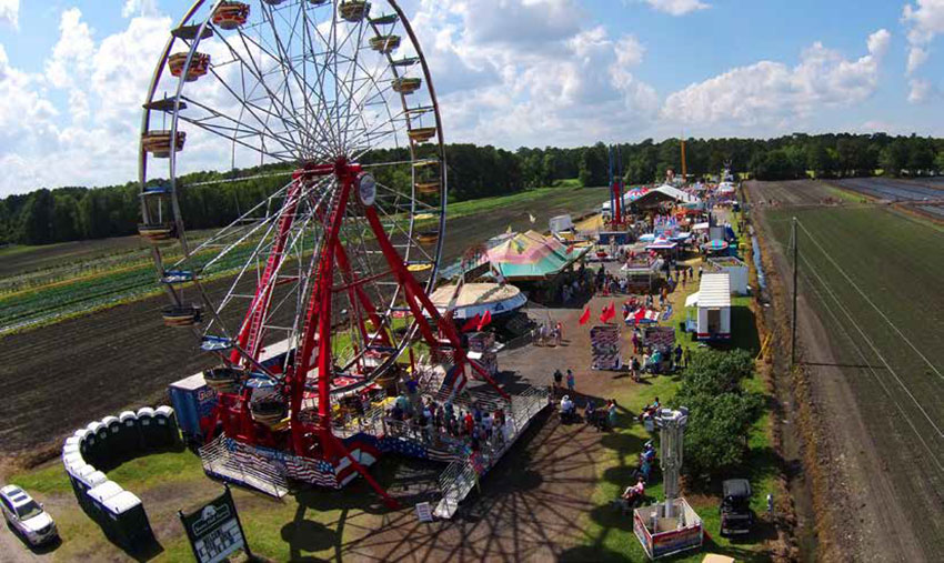 The Lowcountry Strawberry Festival