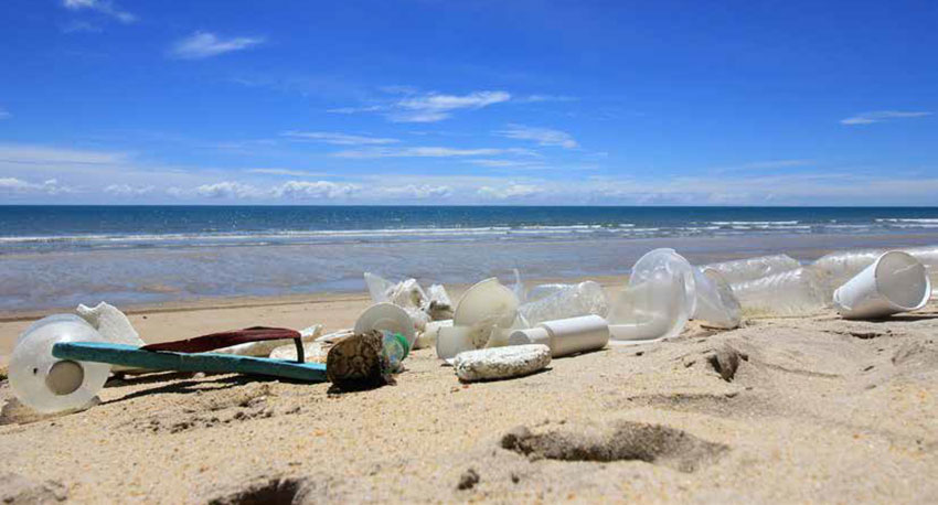 The beauty of a beach riuined by trash during a beach-side cleanup.