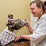 Dr. Leslie Steele cares for one of her canine patients.