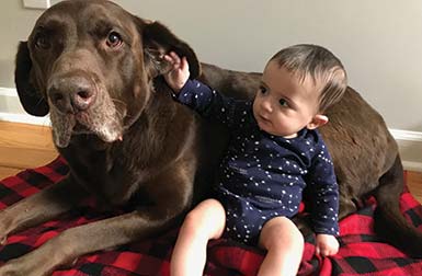 Baby Anderson with dog, Anderson