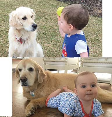 Baby Ben with Dogs Piper and Alice