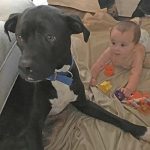 Baby Brooks and dog, Mako