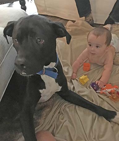 Baby Brooks and dog, Mako