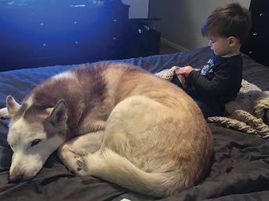 Baby Callan with dog, Harley