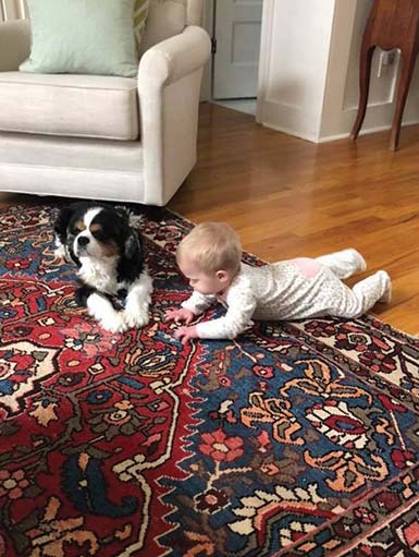Baby Margaret with dog, Henry