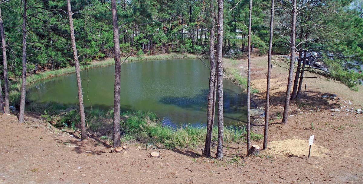 A long-neglected pond will be a pleasant place for people to eat lunch or simply enjoy the company of their co-workers or fellow tenants.