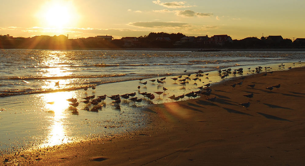 Mount Pleasant, SC sunrise