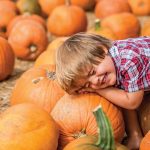 Boone Hall Pumpkin Patch: Something Fall for All