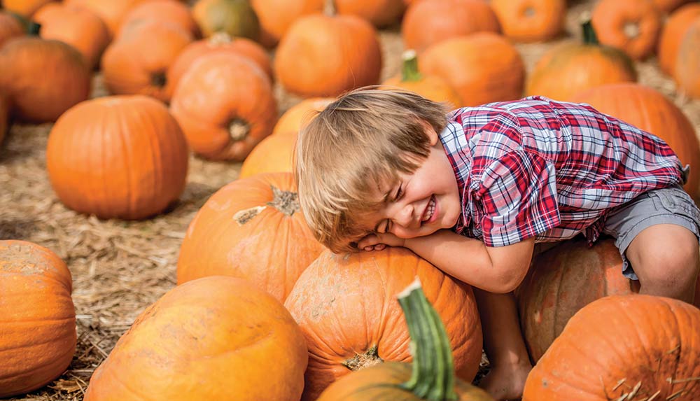 A boy in a pumpkin patch pretending to be asleep