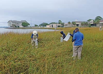 Burke High School students completed their oyster bed restoration project this spring.