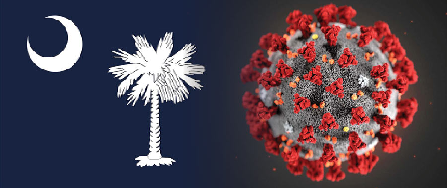 Coronavirus and the South Carolina flag