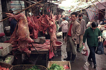 A market in Wuhan, China