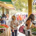 MOUNT PLEASANT, SC: The Farmers Market is back with more options than ever.
