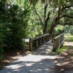 Fort Palmetto Park photo, by William Beebe.