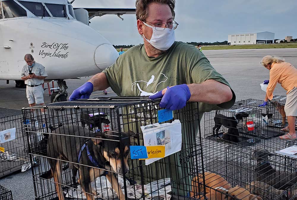 Charleston Animal Society Volunteer Wes Lowther on an emergency transport.