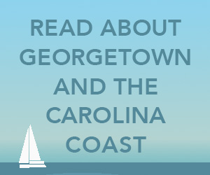 Hammock Coast: Read about Georgetown 300x250 banner