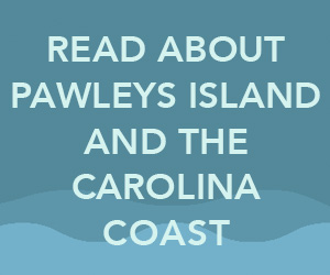 Hammock Coast: Read about Pawleys Island 300x250 banner