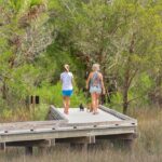 Palmetto Islands County Park: 2022 Best of Mount Pleasant