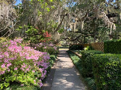 Beautiful garden photo at Brookgreen Gardens showing a garden walkway, trees, flowers and bushes.