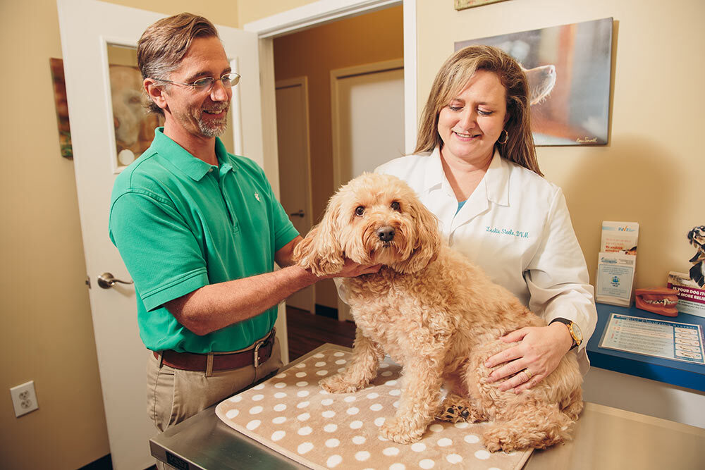 Dr. David Steele, who runs the office with his wife Leslie Steele at Advanced Animal Care in Mount Pleasant, SC examine a canine patient