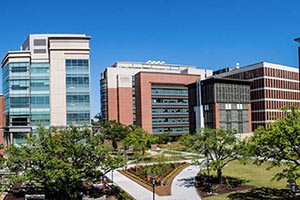 2023 Best of Mount Pleasant. Medical University of South Carolina (MUSC) photo (best hospital)