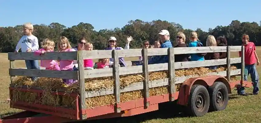 The annual Harvest Festival at Johns Island County Park hosted by Charleston County Parks Department.