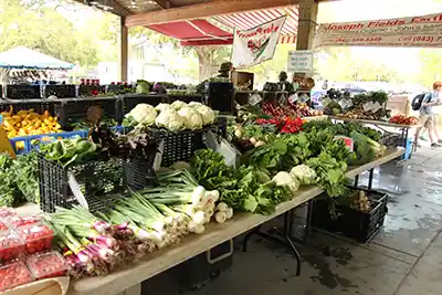 The Mount Pleasant Farmers Market emphasizes fresh food and community connections, offered by vendors like Joseph Fields Farm.